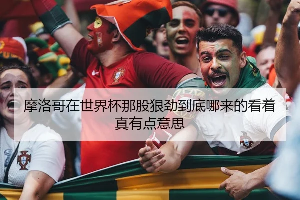 摩洛哥在世界杯那股狠劲到底哪来的看着真有点意思